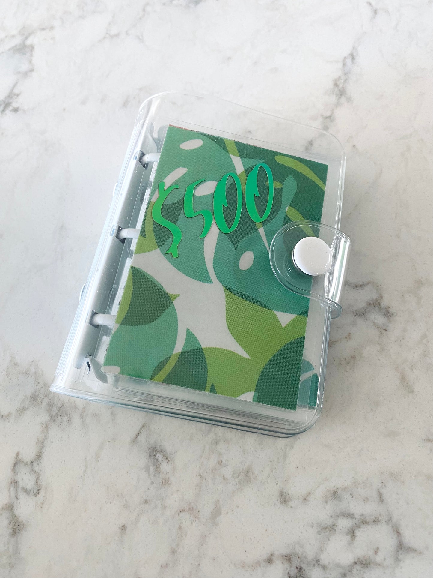 $500 Mini Savings Challenge - Monstera